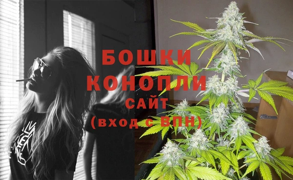 крисы Майский