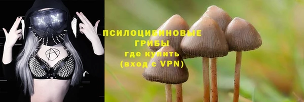 крисы Майский