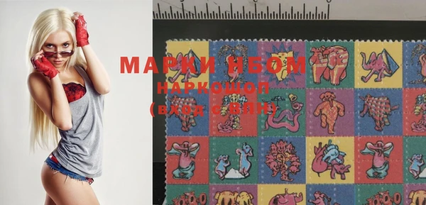 крисы Майский
