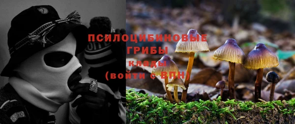 крисы Майский
