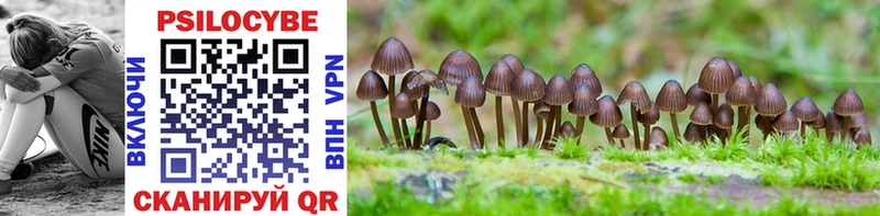 Псилоцибиновые грибы Magic Shrooms  магазин продажи   Самара 