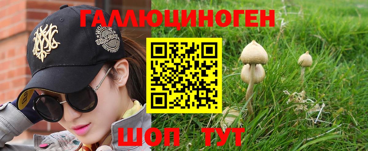 Самара  Псилоцибиновые грибы ЛСД  Вход с VPN 